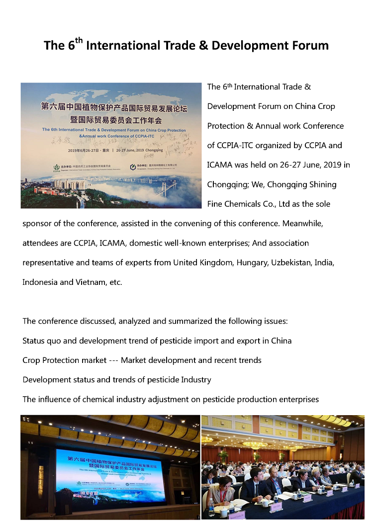 report_页面_1.png