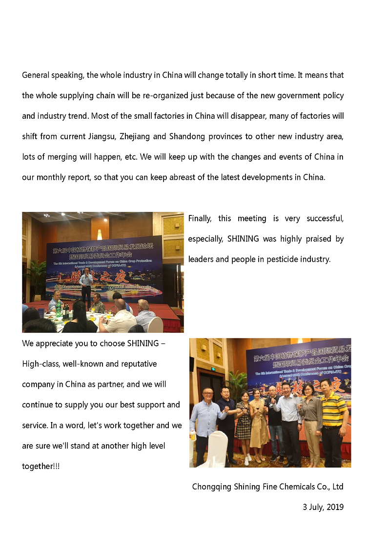 report_页面_2.png